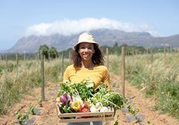 O que é Agricultura Biológica?