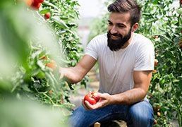 Jovem Agricultor: como montar um projecto agrícola